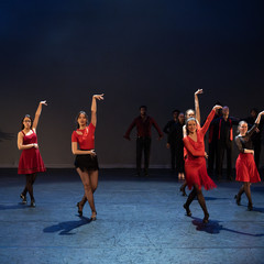Showcase-43.jpg
